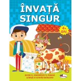 Invata singur. Carte de activitati +4, Aramis