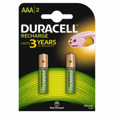 Acumulator Duracell AAAK2 750mAh 2buc Verde foto