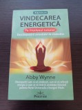 Cumpara ieftin Vindecarea energetica pe intelesul tuturor - Abby Wynne