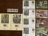 Salvador - feline - serie 4 timbre MNH, 4 FDC, 4 maxime, fauna wwf