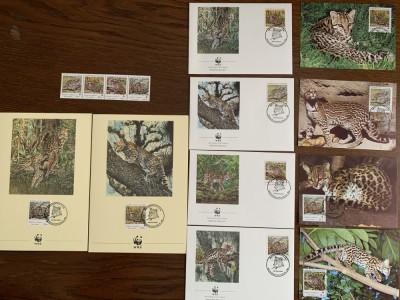 salvador - feline - serie 4 timbre MNH, 4 FDC, 4 maxime, fauna wwf foto