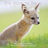 It&#039;s Nice to Be a Kit Fox