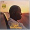Louis Armstrong &lrm;&ndash; The Best Of Louis Armstrong NM / NM viniluiri 2 x LP discuri MCA Germania jazz