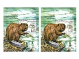 Bulgaria 2025 - castor eurasiatic , 2 blocuri MNH