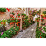 Fototapet Strada cu flori, 400 x 250 cm