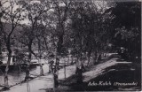 Ada-Kaleh (Promenade) (necirculata)