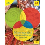 Matematica.Caiet pentru vacanta de vara. Clasa a VII-a - Ioan BalicaPaula BalicaMarius PerianuLiviu Stroie, Art Klett
