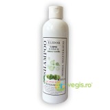 Sampon cu Extract de Nuca Verde 250ml