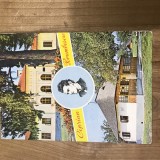 CPISV Ilustrata Suceava Bucovina Ciprian Porambescu, Circulata, Fotografie