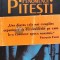 Fenomenul Pitesti - 2007 - Virgil Ierunca (G134)