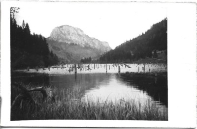 P2639N Lacu Roșu foto