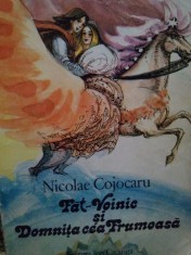 Nicolae Cojocaru - Fat Voinic si Domnita cea Frumoasa (Editia: 1988) foto