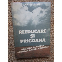 Reeducare si prigoana. Romania in timpul primului razboi cultural &ndash; Ana Selejan