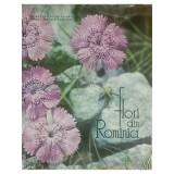 Rodica Rarau Bichiceanu - Flori din Romania (Editia: 1964)