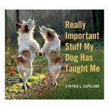 Really important stuff my dog has taught me