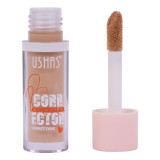 Concealer Corector Ushas #08