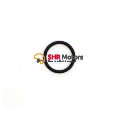 02. O-ring soc CF Moto 500 foto