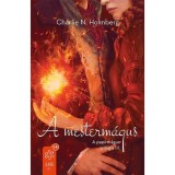 A mesterm&aacute;gus - A pap&iacute;rm&aacute;gus tril&oacute;gia III. - Charlie N. Holmberg