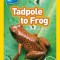 National Geographic Readers: Tadpole to Frog (L1/Co-Reader)