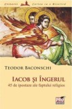 Iacob si Ingerul - Teodor Baconschi - Universul Juridic