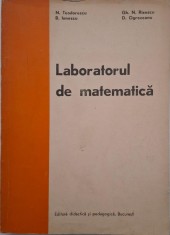 Laboratorul de matematica - N. Teodorescu
