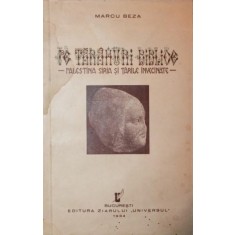 PE TARAMURI BIBLICE - PALESTINA , SIRIA SI TARILE INVECINATE -