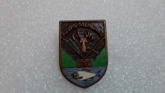 insigna AVPS Mehedinti foto