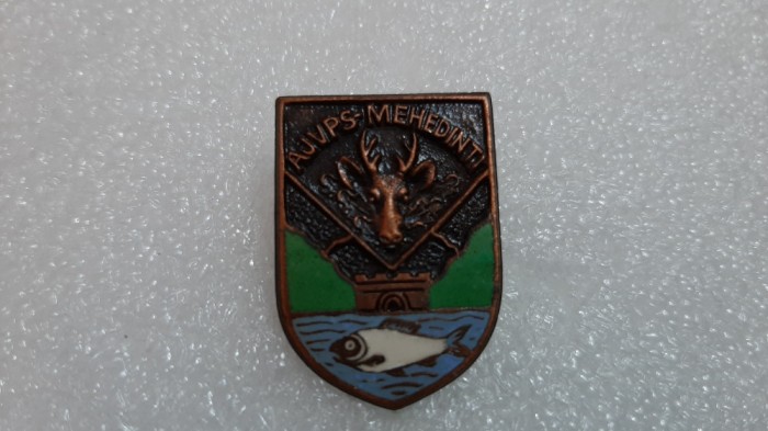 insigna AVPS Mehedinti