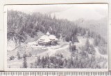 bnk foto Hotel Alpin Rarau - Cabana veche