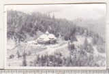 Bnk foto Hotel Alpin Rarau - Cabana veche, Alb-Negru, Romania de la 1950, Cladiri