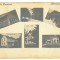 4988 - MONEASA, Arad, Multi vue, Romania - old postcard - unused