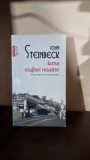 Iarna vrajbei noastre - John Steinbeck