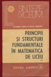 Alexandru Leonte, Rodica Trandafir, "Principii si structuri fundamentele in matematicca de liceu" vol II - Albatros - 1986