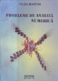 Probleme de analiza numerica (Martin)