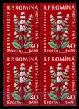 Romania 1959, LP 485 a, Plante medicinale, EROARE "40 BAN" in bloc de 4 (cu 3 timbre normale), MNH! Piesa rara!!!