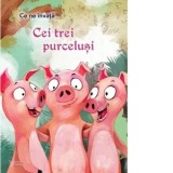 Ce ne invata Cei 3 purcelusi