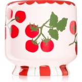 Paddywax A Dopo Tomato Vine lum&acirc;nare parfumată 226 g