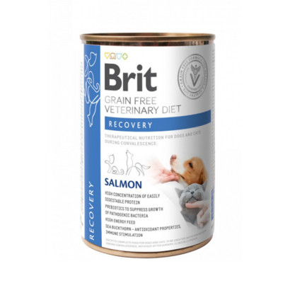 Brit Veterinary Diets GF cat + dog Recovery salmon 400 g foto