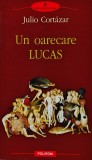 Un oarecare Lucas - 2010 - Mona Țepeneag (@S36)