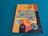 ACTIVITATEA &Icirc;N SOCIETATEA INFORMAȚIONALĂ / BOGDAN GHILIC-MICU / 2002 * 010