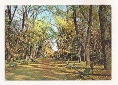 RF54 -Carte Postala- Bucuresti, Parcul Libertatii, circulata 1967