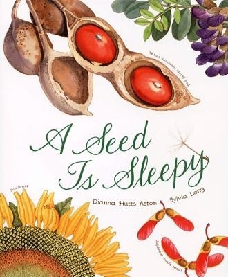 A Seed Is Sleepy foto