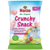 Gustare Crocanta cu Ovaz si Zmeura pentru Copii +10 luni fara Zahar Ecologica/Bio 30g