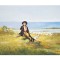 Tablou celebru Ciobanas pictat manual, 70x50cm ulei pe panza, reproducere Nicolae Grigorescu