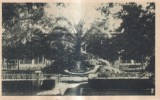 Buzias. Rundoul mare cu Casinoul (circulata 1939)