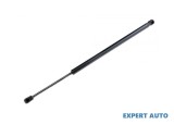 Amortizor portbagaj BMW X5 (2007-&gt;) [E70] #1