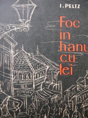 Foc in hanul cu tei - I. Peltz foto