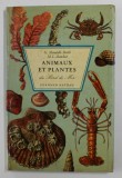 ANIMAUX ET PLANTES DU BORD DE MER par G. MANDAHL - BARTH et M. L. BAUCHOT , ANII &#039;60