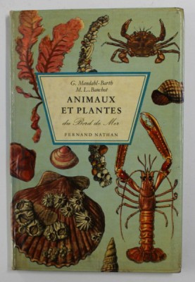 ANIMAUX ET PLANTES DU BORD DE MER par G. MANDAHL - BARTH et M. L. BAUCHOT , ANII &amp;#039;60 foto