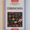 COMUNICAREA , PERSPECTIVE ACTUALE de PHILIPPE CABIN , JEAN - FRANCOIS DORTIER , 2010